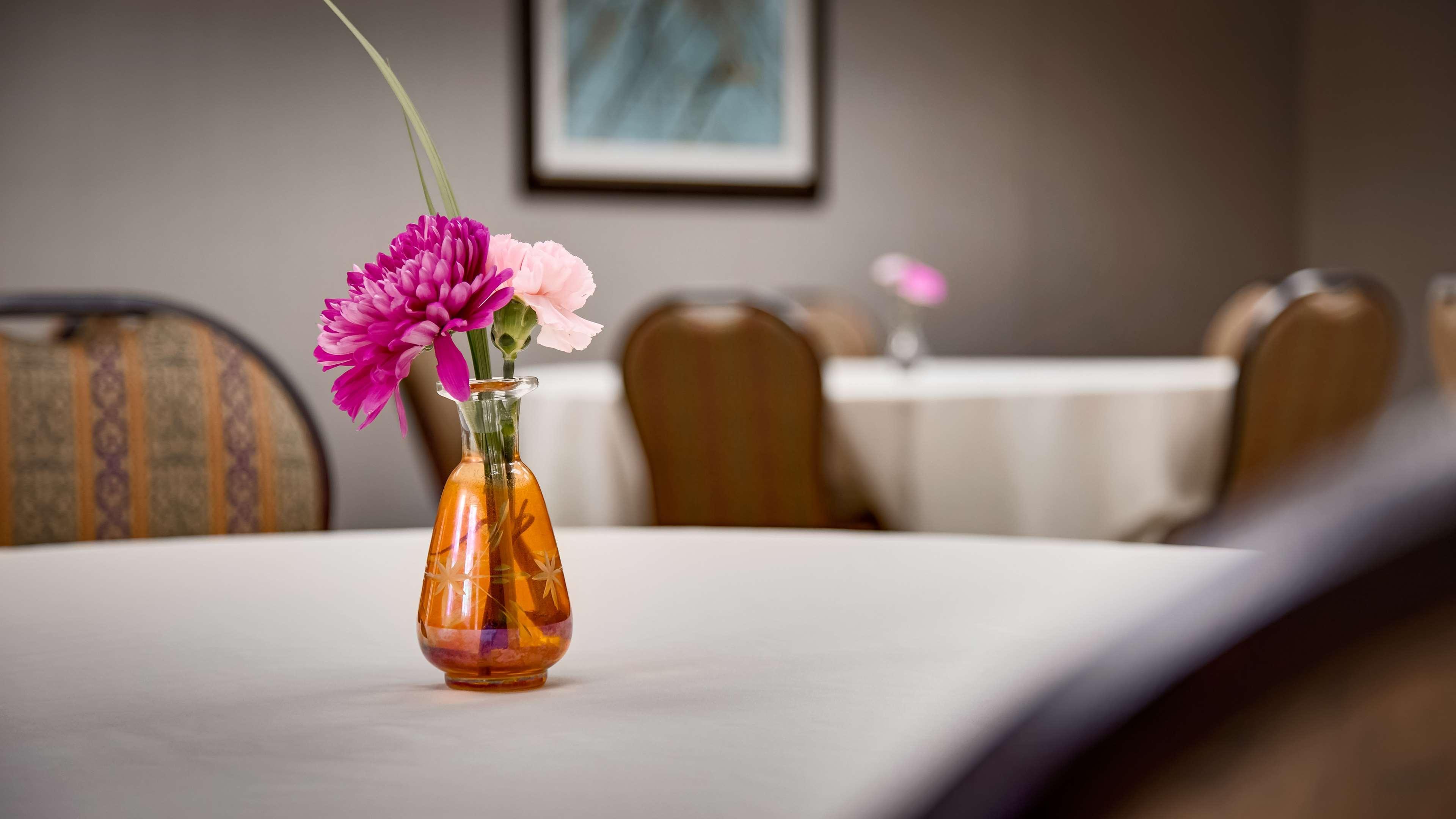 Western River Escape Sylva / Hotel 3*