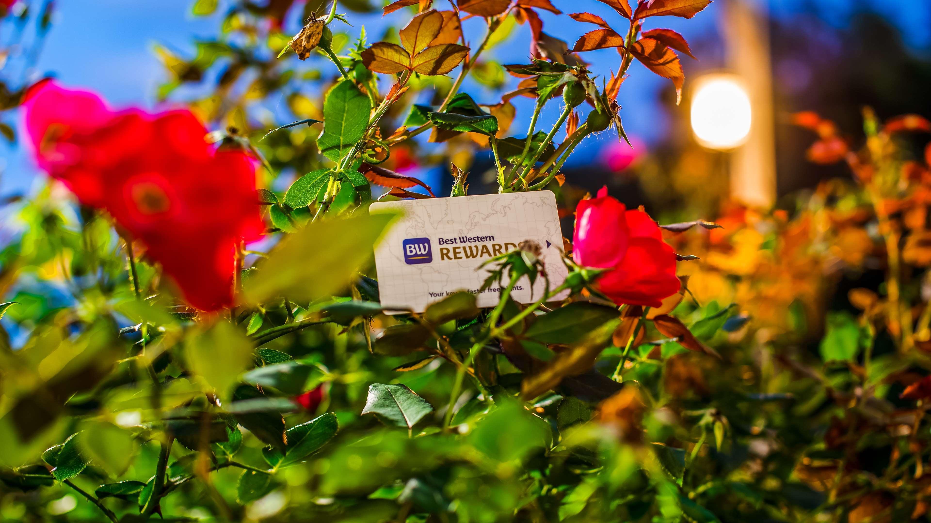 Western River Escape Sylva / Hotel 3*
